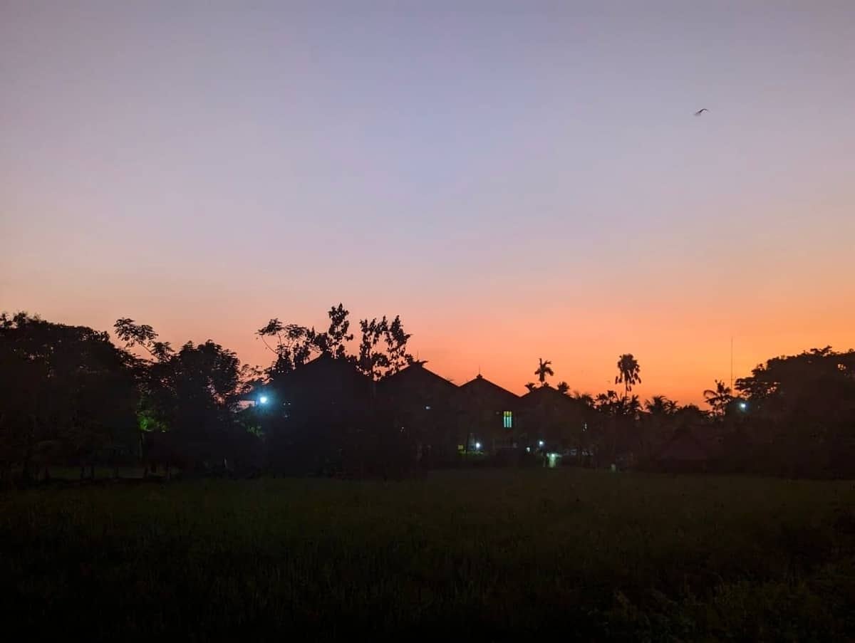 Sunset over the field down the road