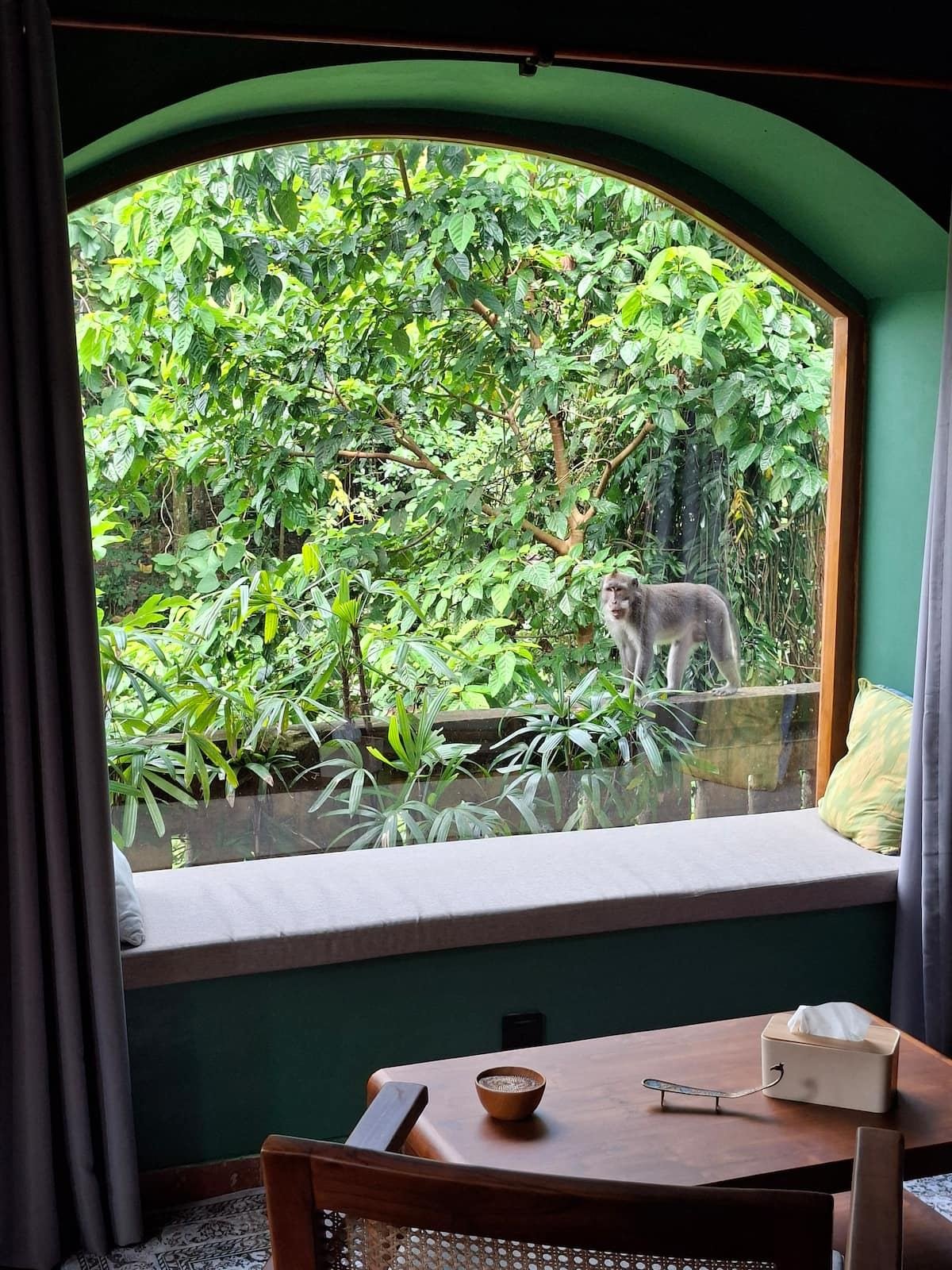 The arched window, where the monkeys come close