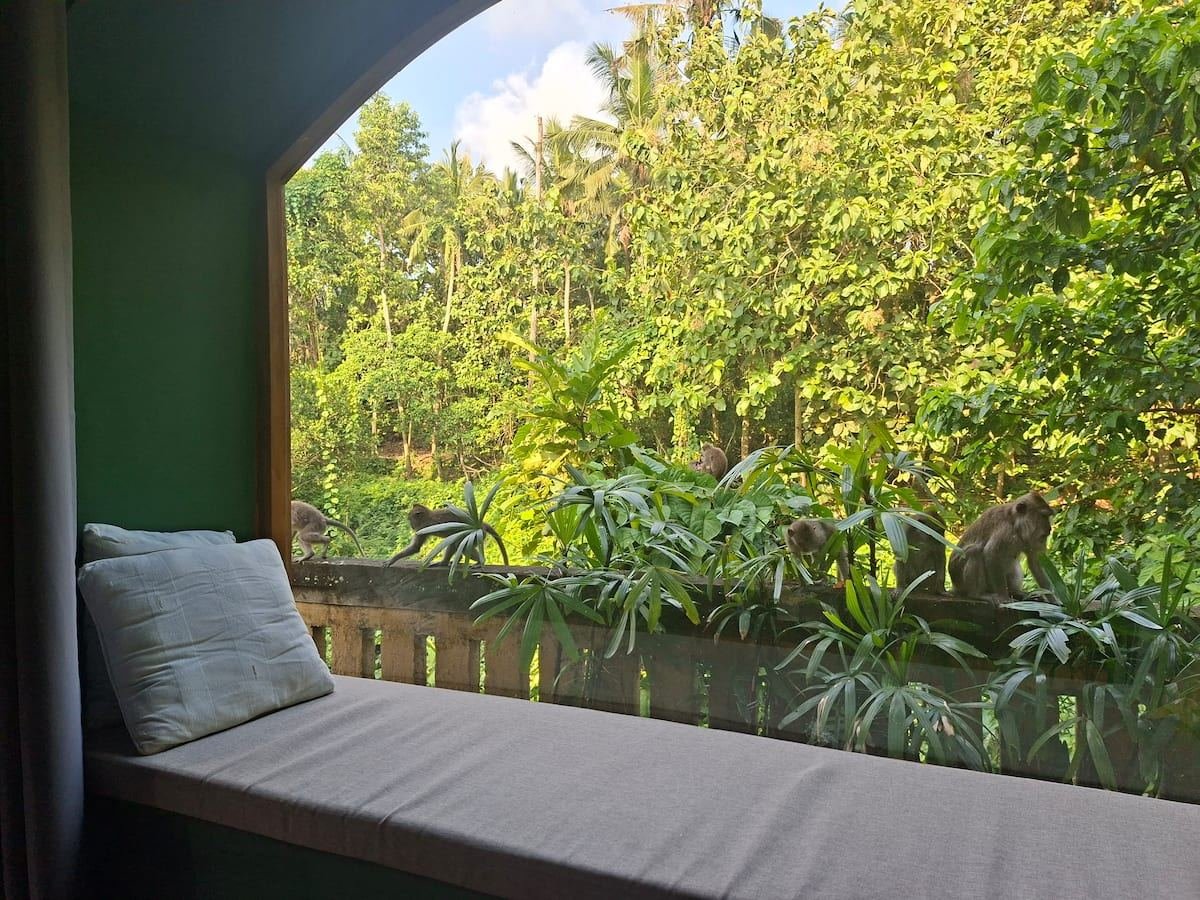 The window seat and the view over the forest